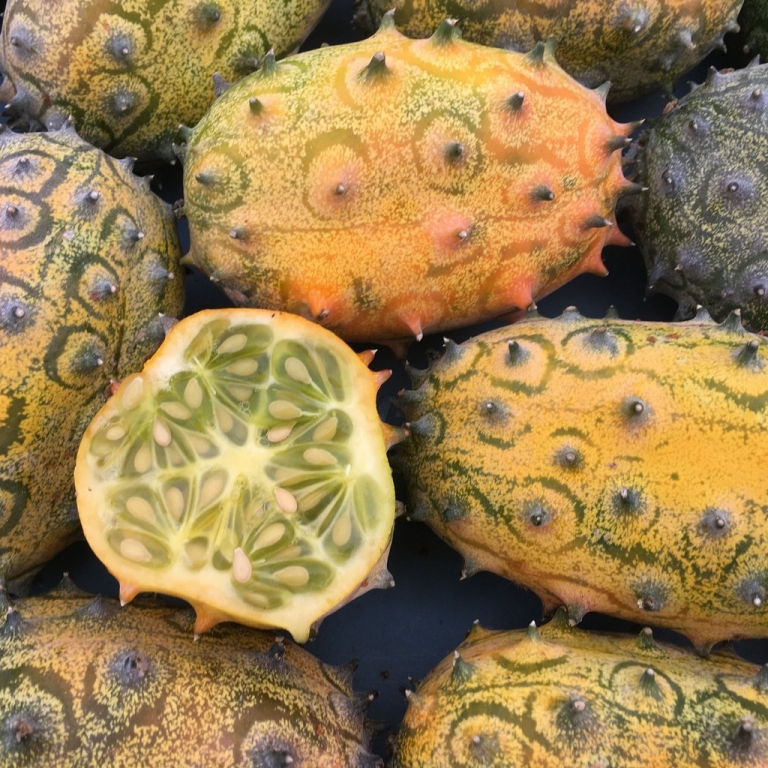 Melon Kiwano Hortibeauce