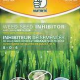 Inhibiteur semences mauvaises herbes 100% naturel (8-0-4)